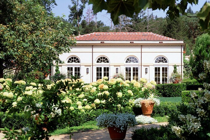 Private Sonoma Wine Tour up to 6 Guests - Photo 1 of 7